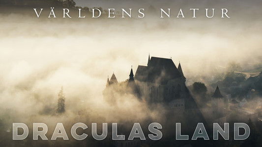 Transylvanie, un bestiaire fantastique