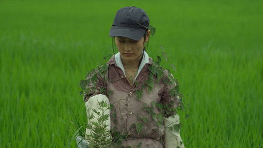 リトル・フォレスト 夏・秋