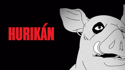 Hurikán