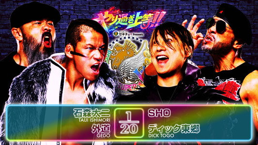 NJPW Best of the Super Junior 33 - Day 9