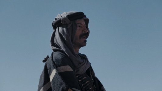 القيد