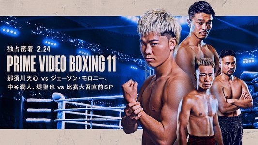 PRIME VIDEO BOXING 11