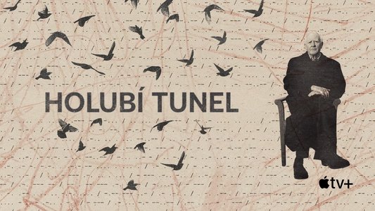 The Pigeon Tunnel