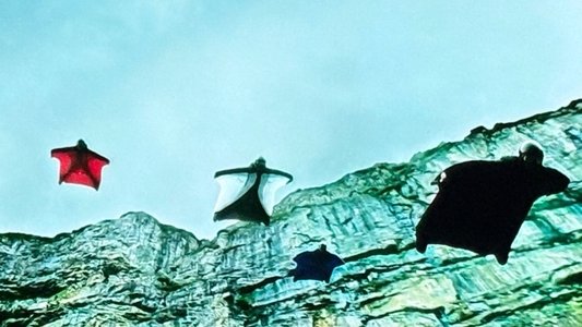 Point Break