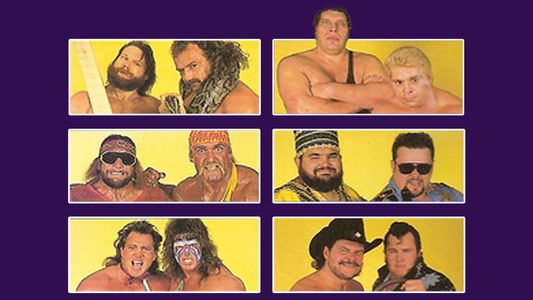 WWE Survivor Series 1988