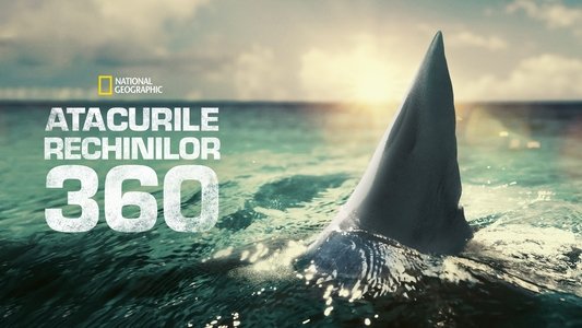 When Sharks Attack 360