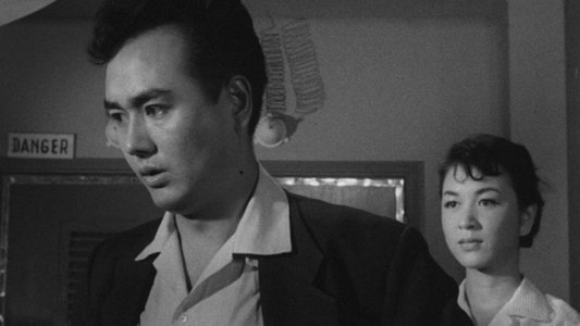 透明人間と蝿男
