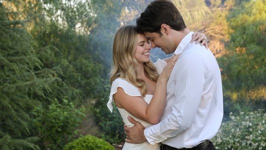 Save the Wedding