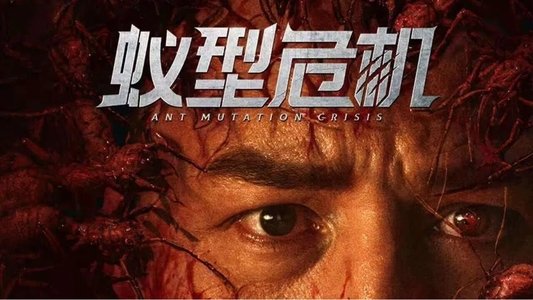 蚁型危机