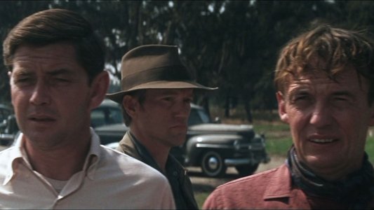 Cool Hand Luke