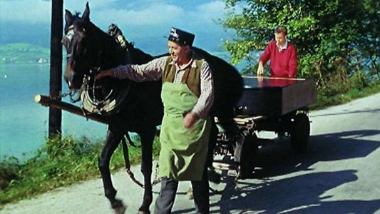 Im schwarzen Rössl