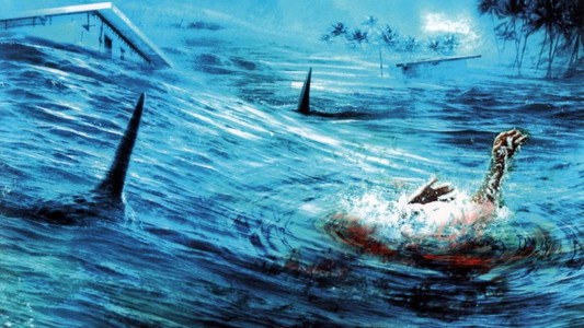 Malibu Shark Attack