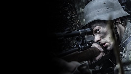 Hitler's Last Stand