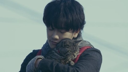 世界から猫が消えたなら