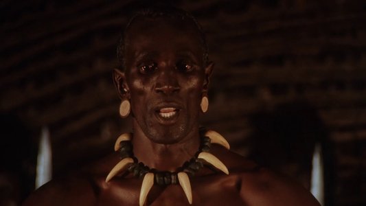 Shaka Zulu