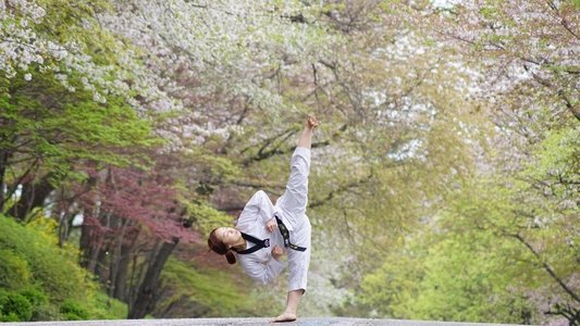 사범