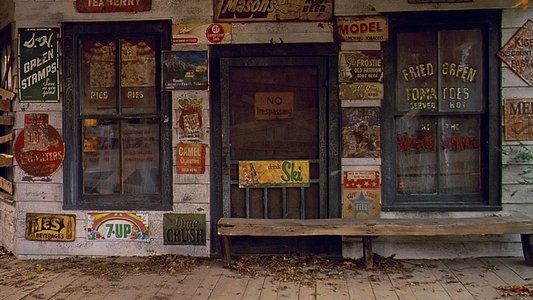 Fried Green Tomatoes