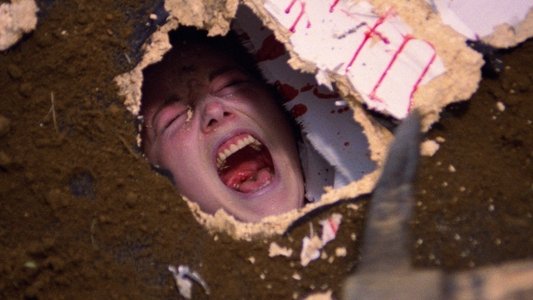 Paura nella città dei morti viventi