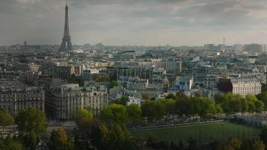 Le Suicide Francais