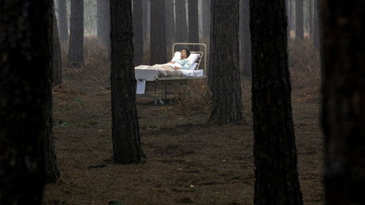 An American Werewolf in London