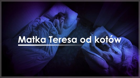 Matka Teresa od kotów
