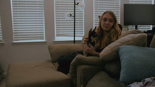 LT's Theory of Pets