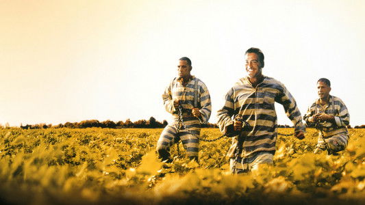 O Brother, Where Art Thou?