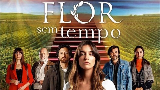 Flor Sem Tempo