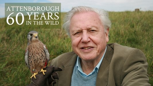 Attenborough: 60 Years in the Wild