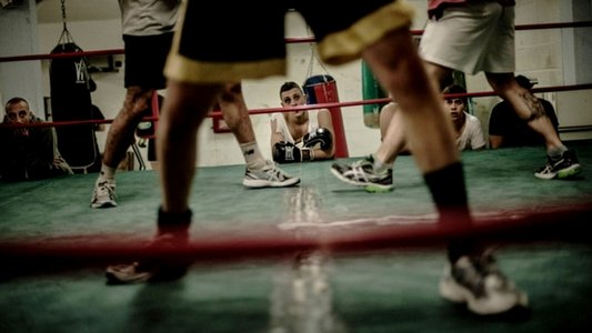 Calcio storico