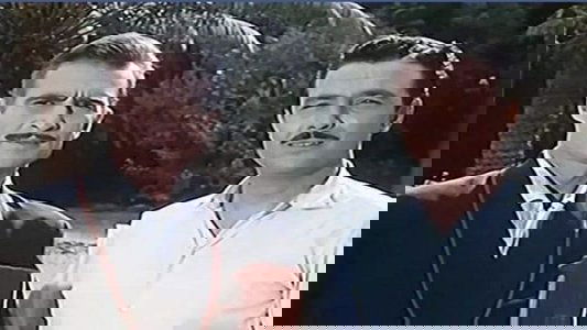 الأيدي الناعمة