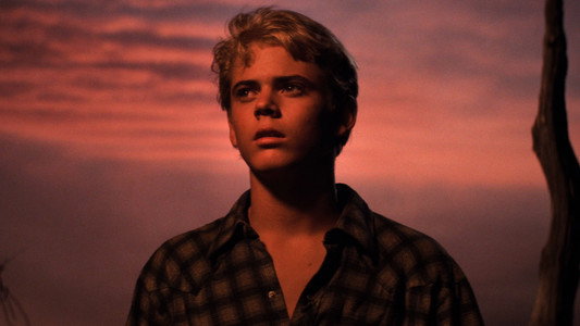 The Outsiders