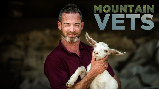 Mountain Vets
