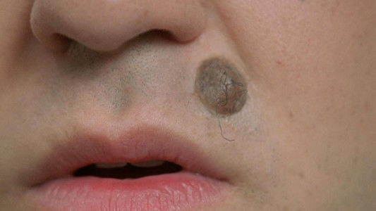 Austin Powers in Goldmember