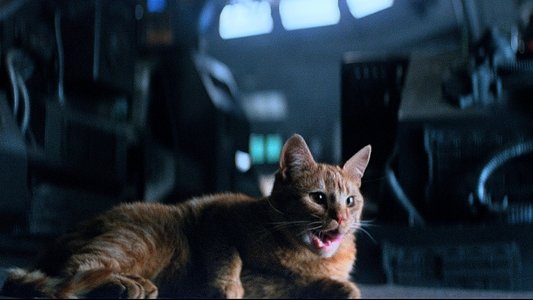 Alien