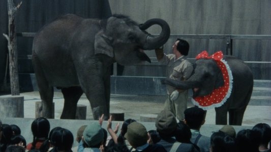 子象物語 地上に降りた天使