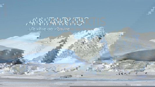 Antarctica, sur les traces de l'empereur