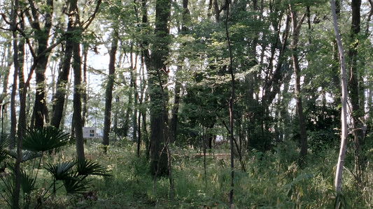 そして父になる