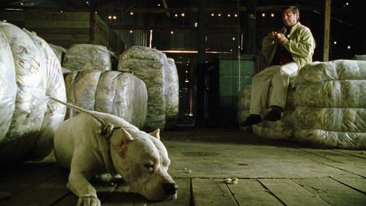 El perro