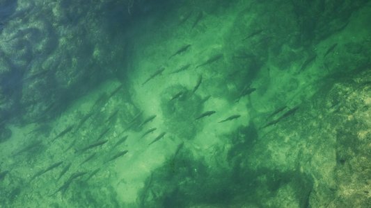 Earth's Great Rivers II