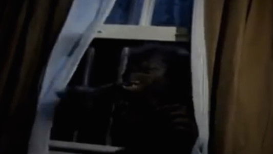 Goosebumps: Werewolf Skin