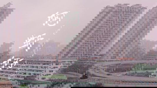 何虾仔