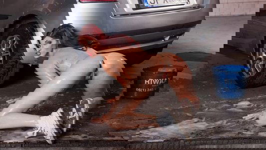 Anal Carwash