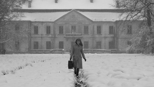 Ida