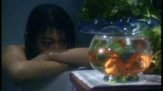Zero WOMAN　危ない遊戯