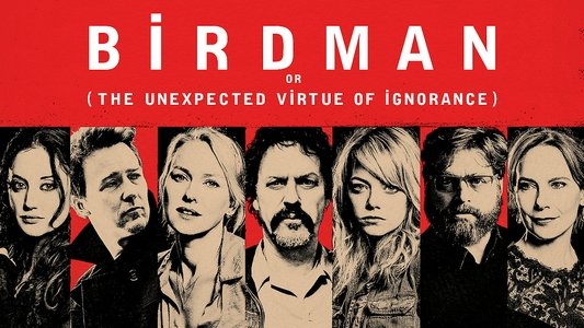 Birdman or (The Unexpected Virtue of Ignorance)