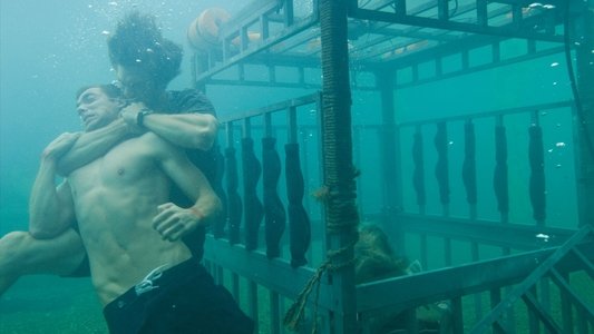 Shark Night 3D