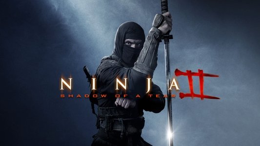 Ninja: Shadow of a Tear