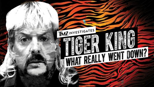 TMZ Investigates: Tiger King - What Really Went Down