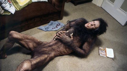 An American Werewolf in London
